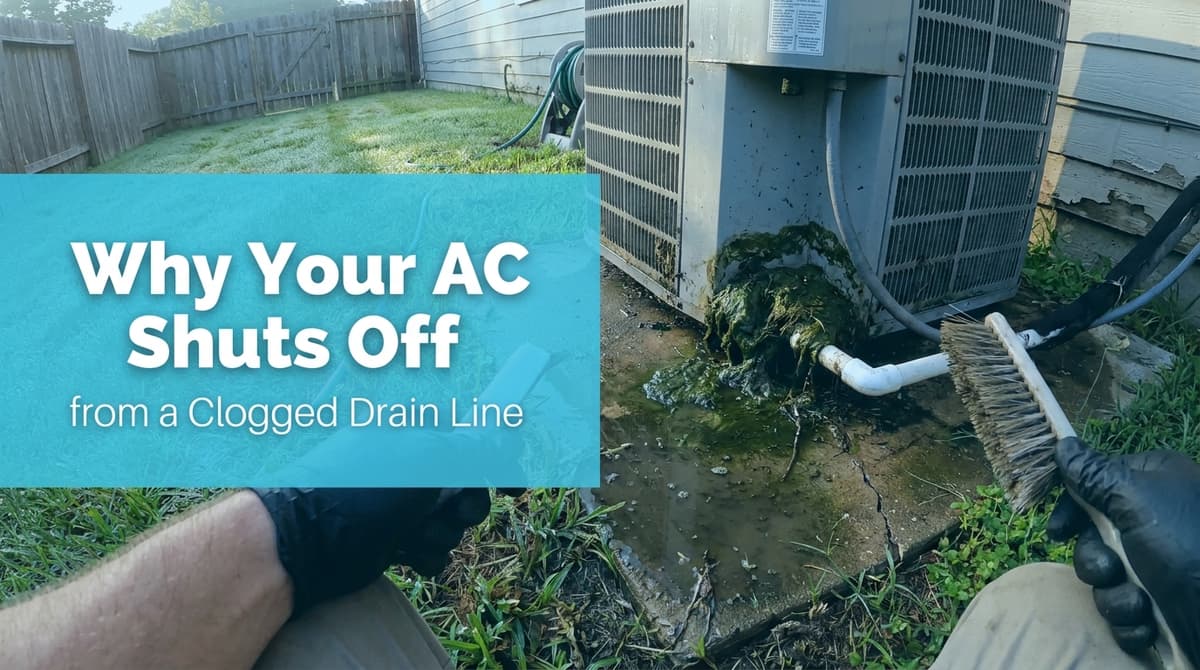 Blog post Why Your AC Shuts Off from a Clogged Drain Line image